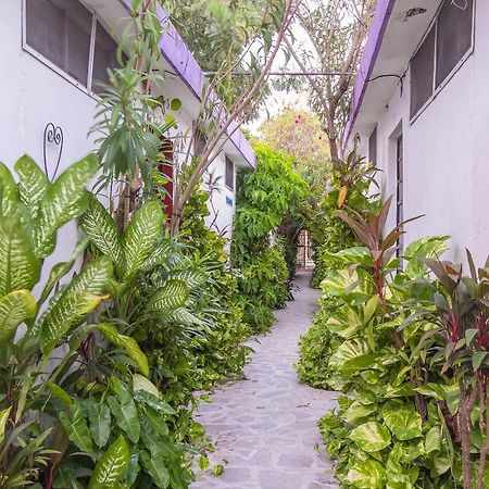 Hotel Aventura ميريدا المظهر الخارجي الصورة