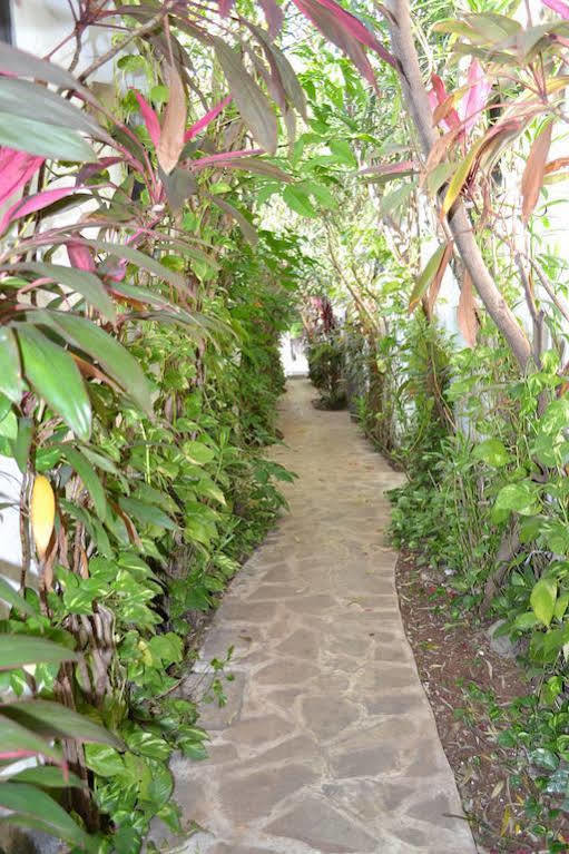Hotel Aventura ميريدا المظهر الخارجي الصورة