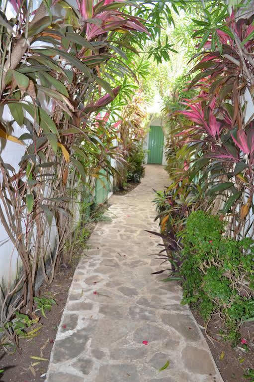 Hotel Aventura ميريدا المظهر الخارجي الصورة